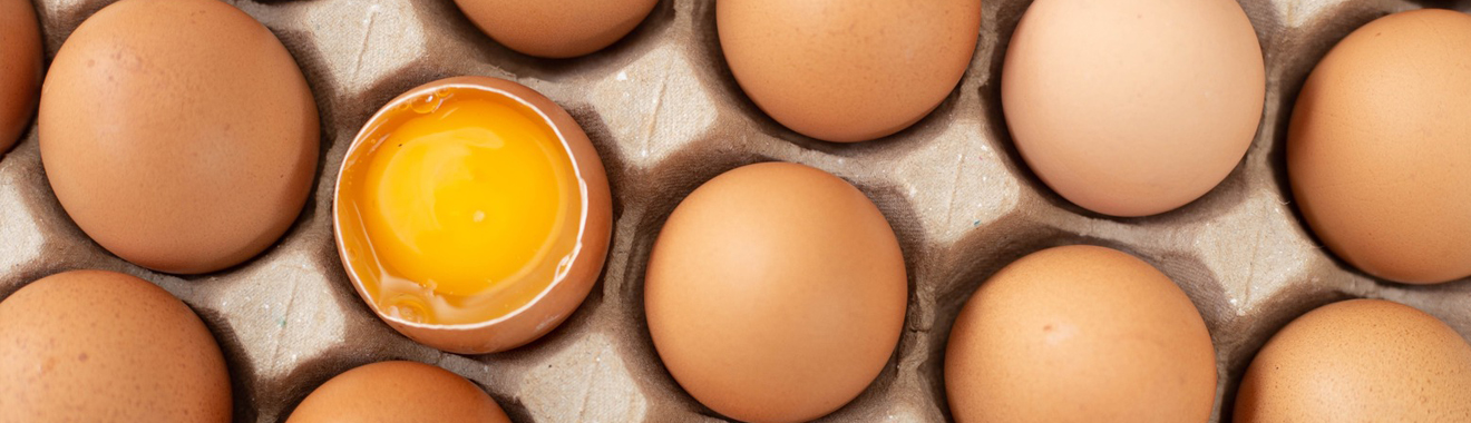 Tehnologii de sprijin